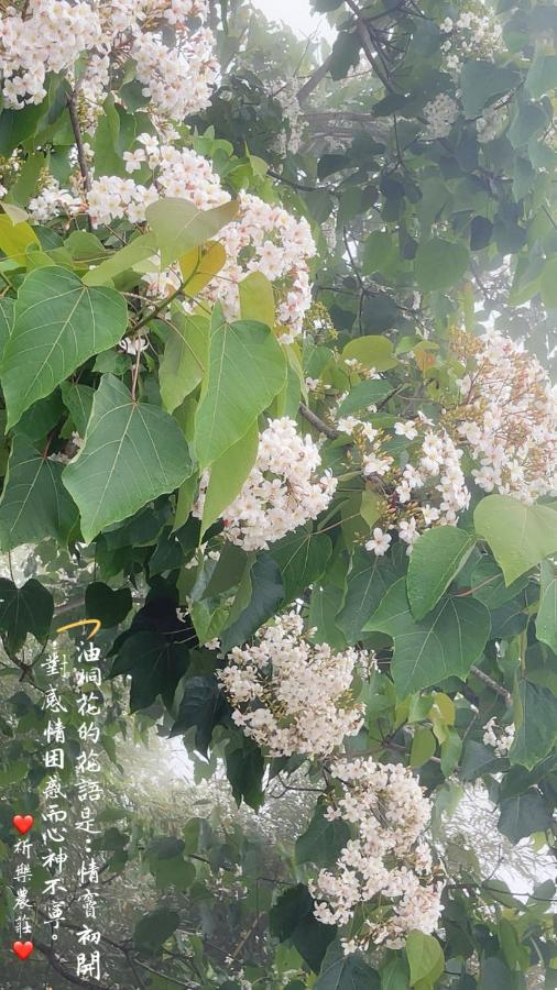 Lala Mountain Homestay‧Cile Farm Hualing ภายนอก รูปภาพ